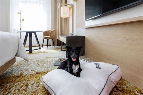 golden hotels pet friendly|Top Pet Friendly Hotels in Golden, British Columbia .
